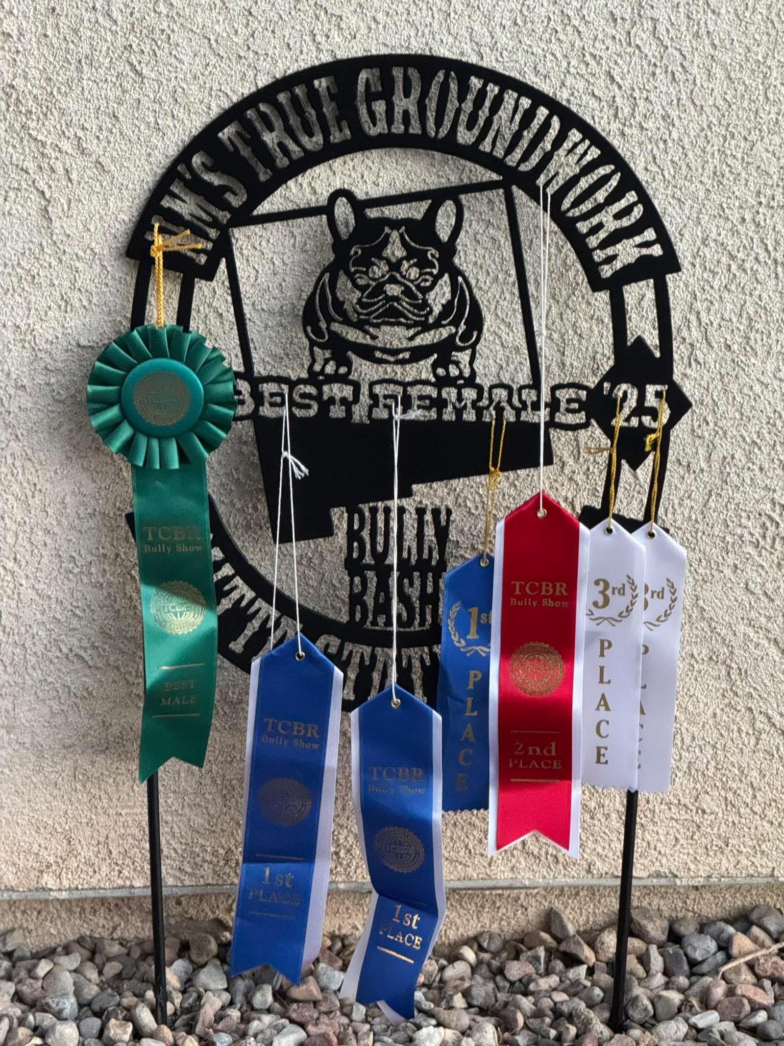 French Bulldog program — structure and temperament